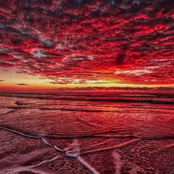 Meet your Posher, Rhianna - Picture 2 of 2